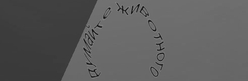 Распознанная текстовая капча